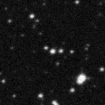2024ral_image