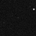 2024rdl_image