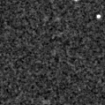 2024rdm_image
