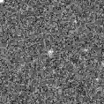 2024ret_image