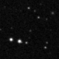 2024rfa_image