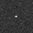 2024rfg_image