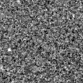 2024rgw_image