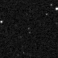 2024rhd_image