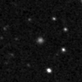 2024rjr_image