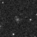 2024rlx_image