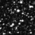 2024rmq_image