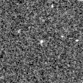 2024ryb_image