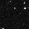 2024rye_image