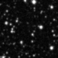 2024rzt_image
