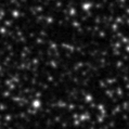 2024rzw_image