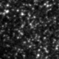 2024sal_image