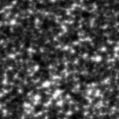2024sap_image