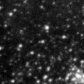 2024saq_image