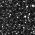 2024say_image