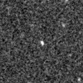 2024sb_image