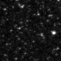 2024sbd_image