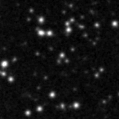 2024sbr_image