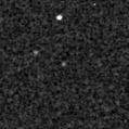 2024sbw_image