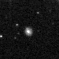 2024sds_image