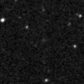 2024sfa_image