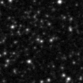 2024sfn_image