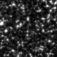 2024sfu_image