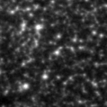 2024sga_image