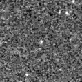 2024sgy_image