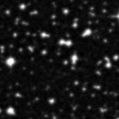 2024shc_image