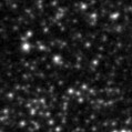 2024sim_image