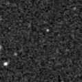 2024sjd_image