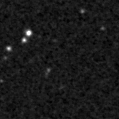2024sjo_image