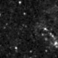 2024sjr_image