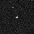 2024sjv_image