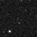 2024sjx_image