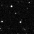 2024slg_image