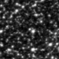 2024snq_image