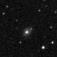 2024svk_image