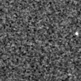 2024tco_image