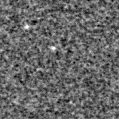2024tnk_image