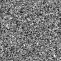 2024tnm_image
