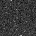 2024ton_image
