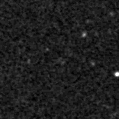 2024tpq_image