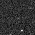 2024trn_image