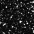 2024tuy_image