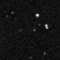 2024twm_image