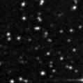 2024ucb_image