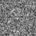 2024vam_image