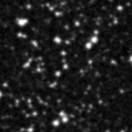 2024vep_image